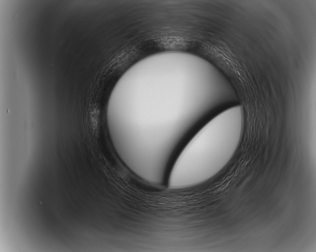 X0000098130263200804171105