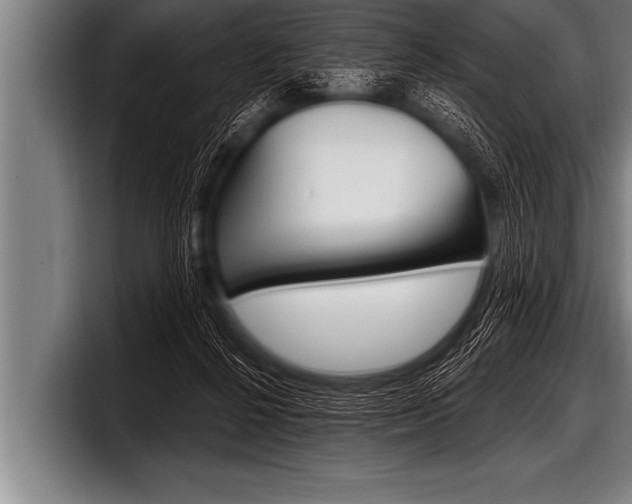 X0000098130264200804171105