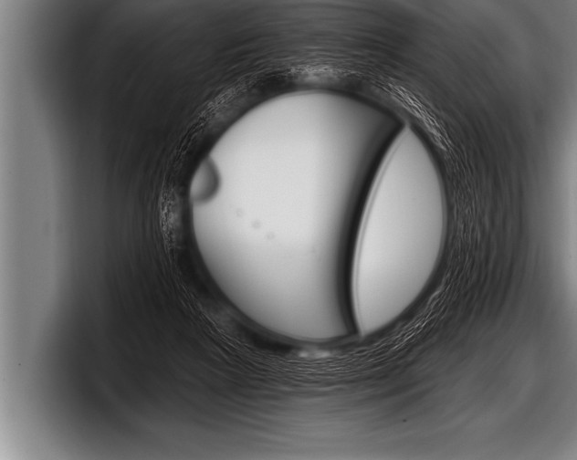 X0000098130265200804171105