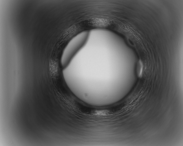 X0000098130268200804171105