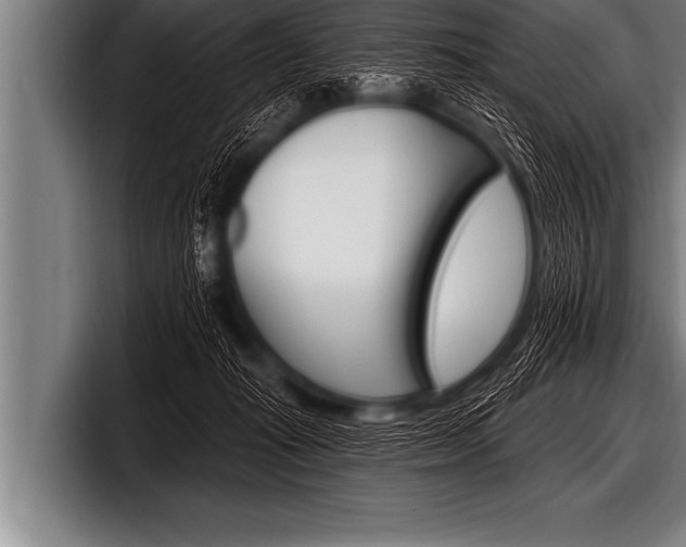 X0000098130269200804171105