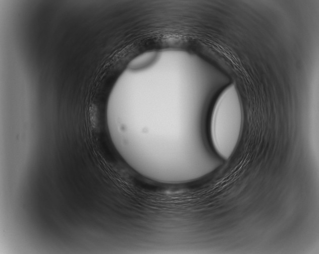 X0000098130270200804171105