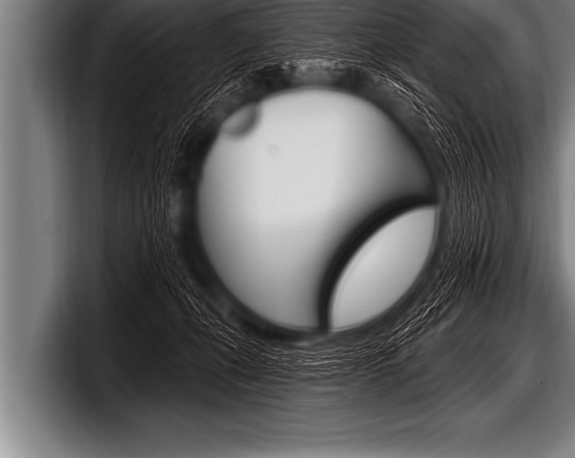 X0000098130271200804171105