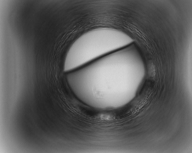 X0000098130272200804171105