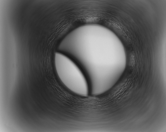 X0000098130273200804171105