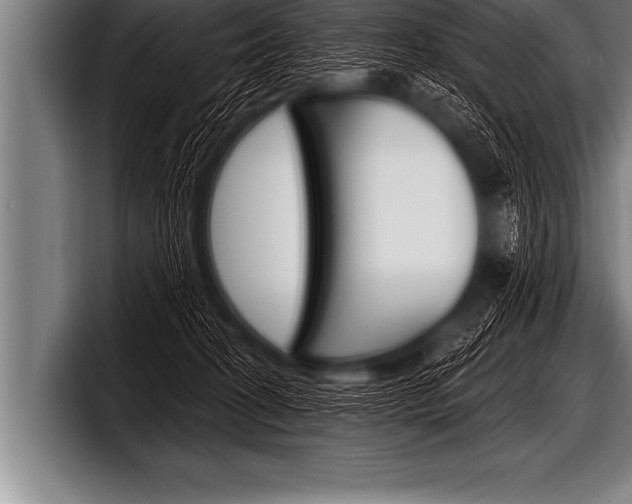 X0000098130274200804171105