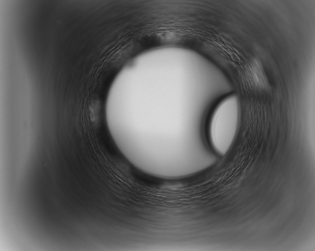 X0000098130275200804171105