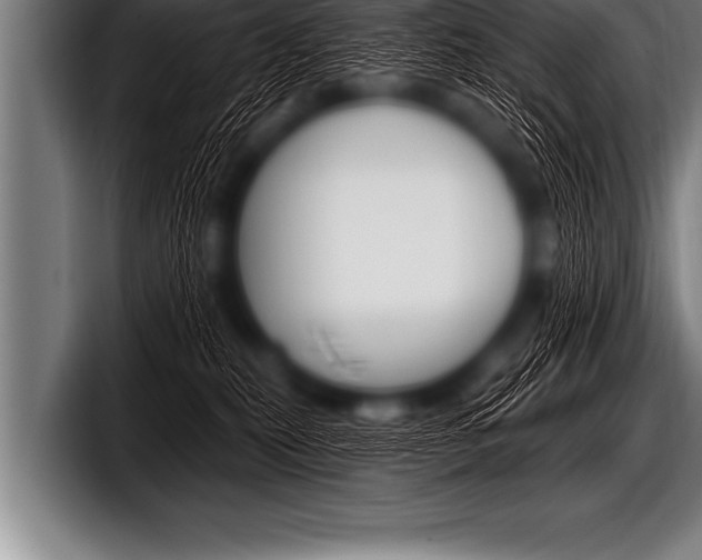 X0000098130279200804171105