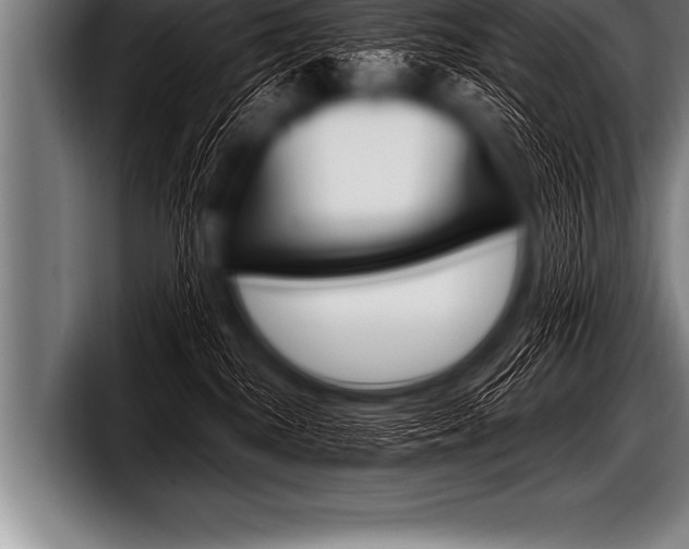 X0000098130280200804171105