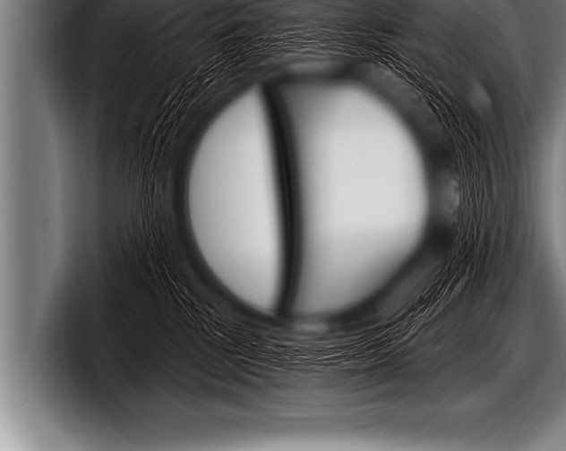 X0000098130281200804171105