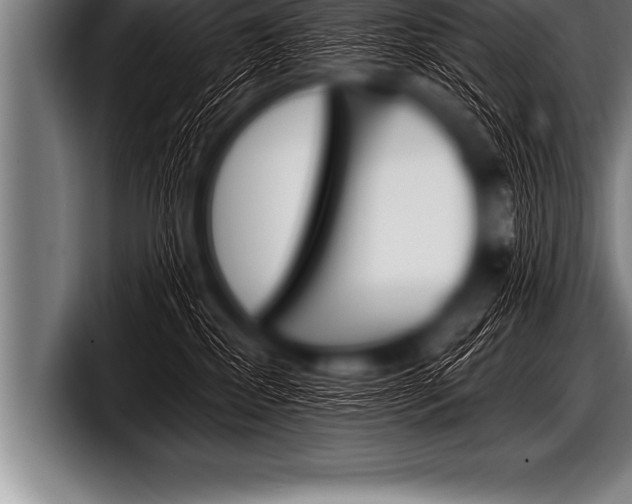 X0000098130282200804171105