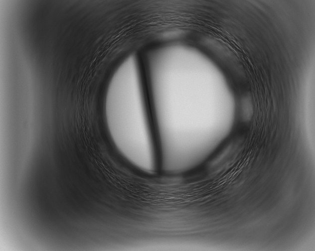 X0000098130284200804171105