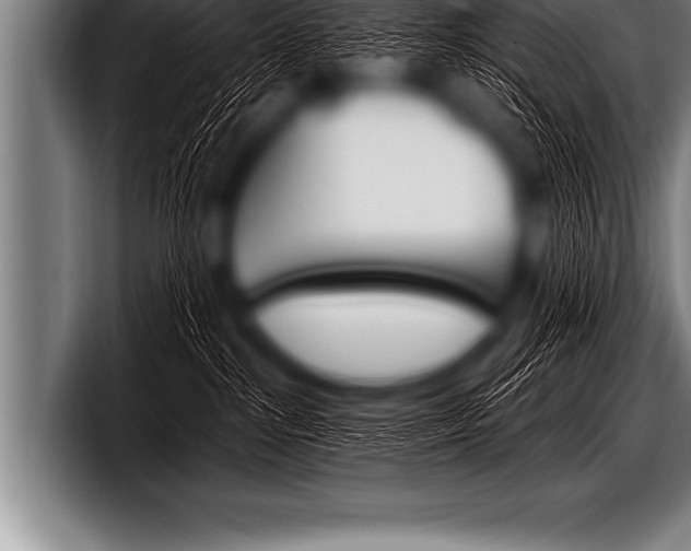 X0000098130285200804171105