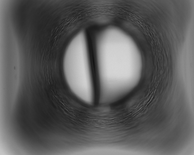 X0000098130288200804171105