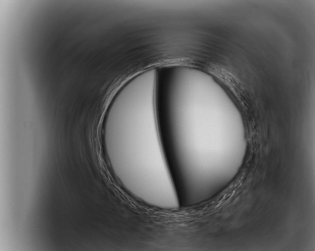 X0000098130289200804171105
