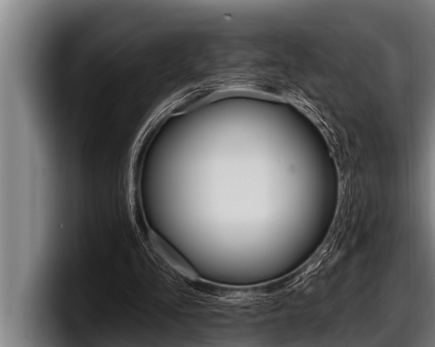 X0000098130293200804171105