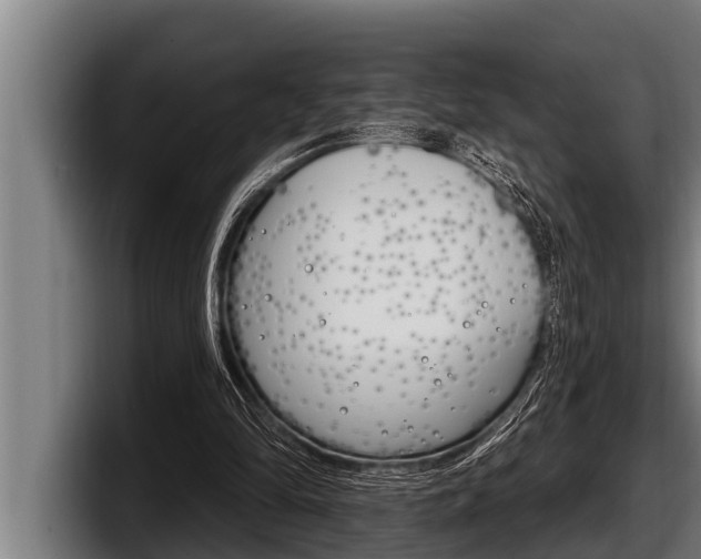 X0000098130294200804171105