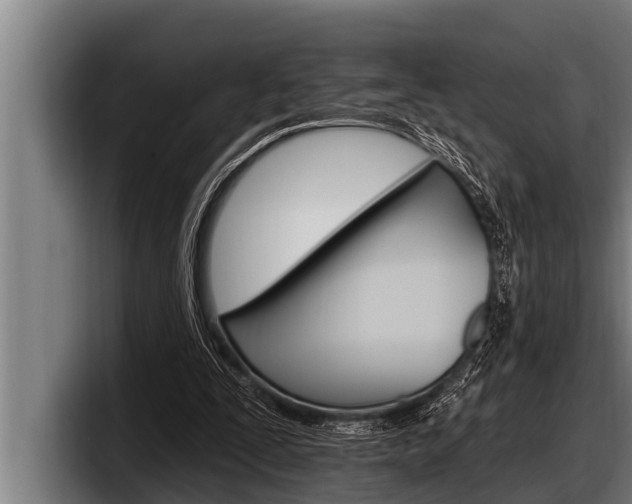 X0000098130295200804171105