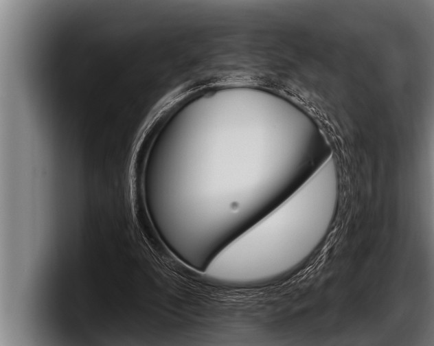 X0000098130296200804171105