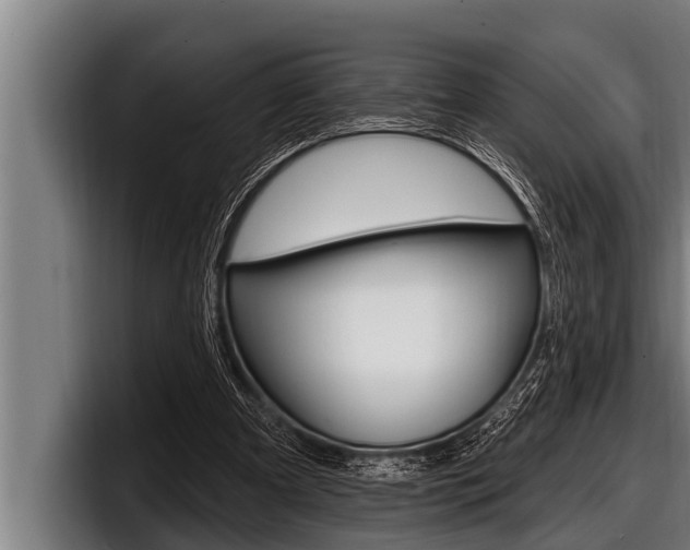 X0000098130297200804171105