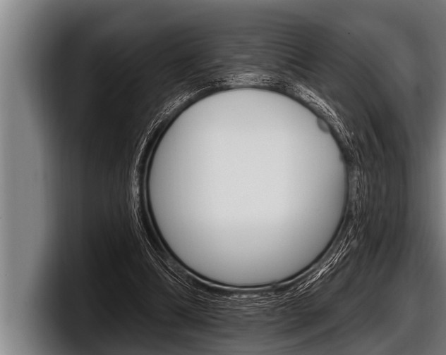 X0000098130298200804171105