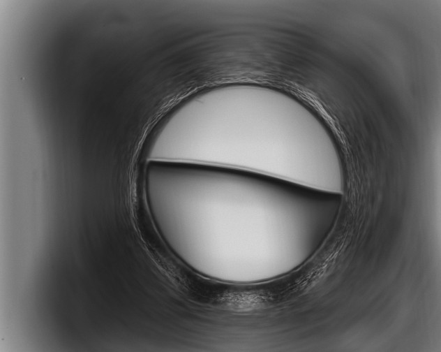 X0000098130299200804171105