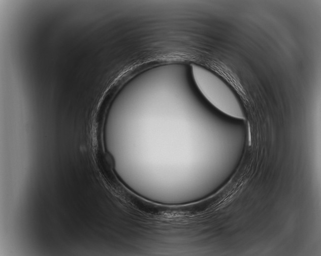 X0000098130300200804171105