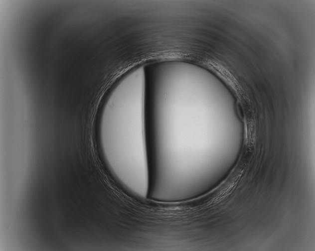 X0000098130301200804171105