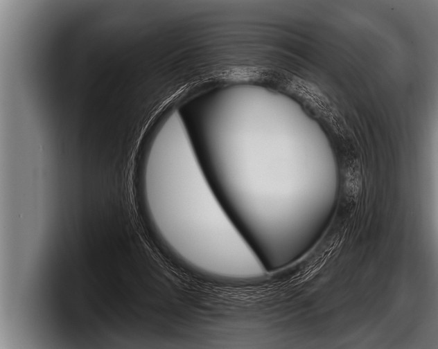X0000098130304200804171105