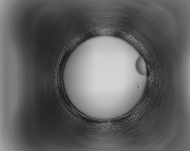 X0000098130306200804171104