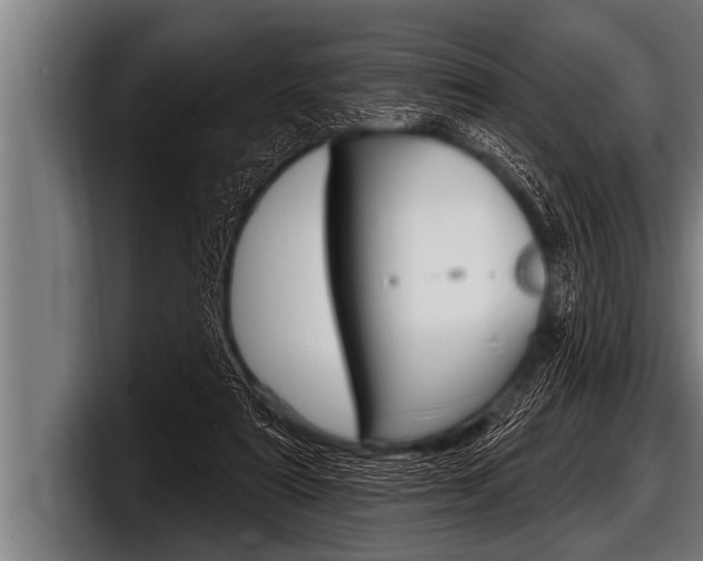 X0000098130307200804171104