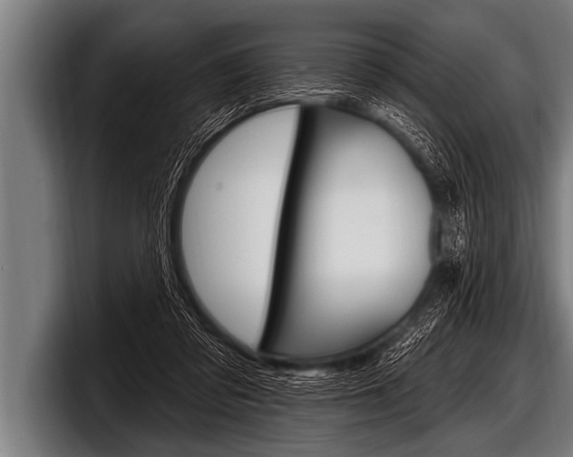 X0000098130309200804171104