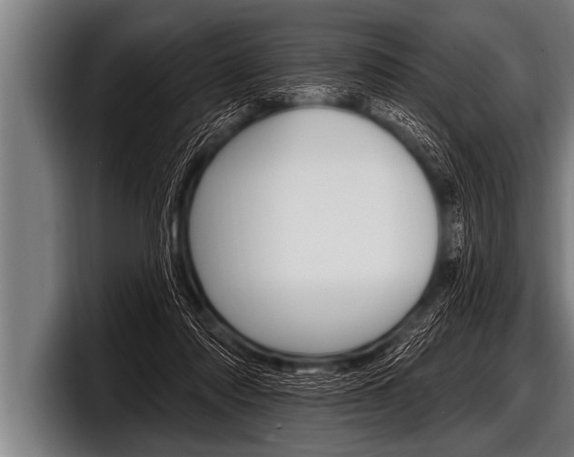 X0000098130310200804171104