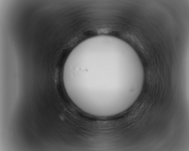 X0000098130311200804171104