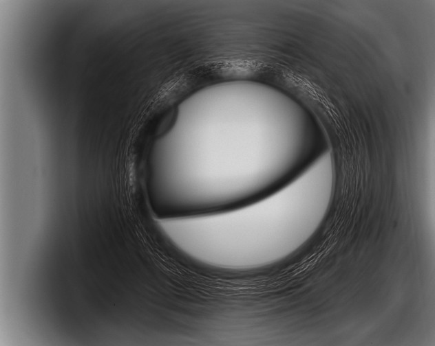 X0000098130312200804171104