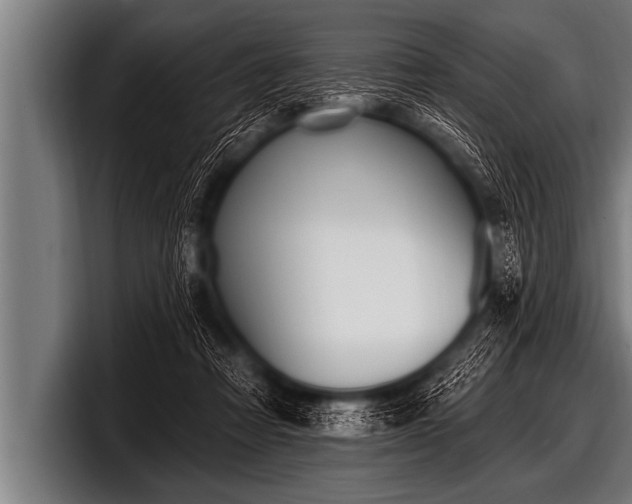X0000098130313200804171104