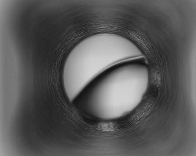 X0000098130317200804171104