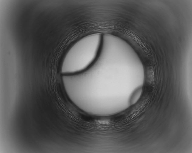 X0000098130318200804171104