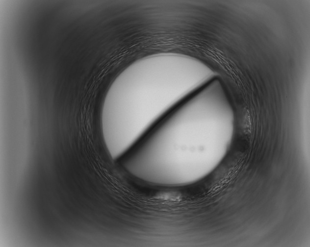 X0000098130319200804171104
