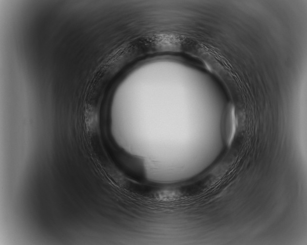 X0000098130320200804171104