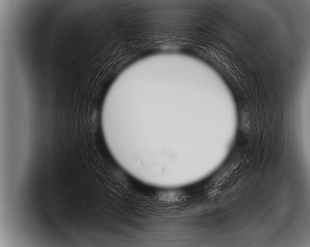 X0000098130321200804171104