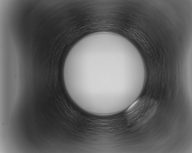 X0000098130323200804171104
