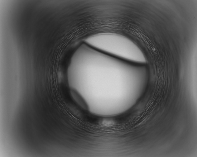 X0000098130324200804171104