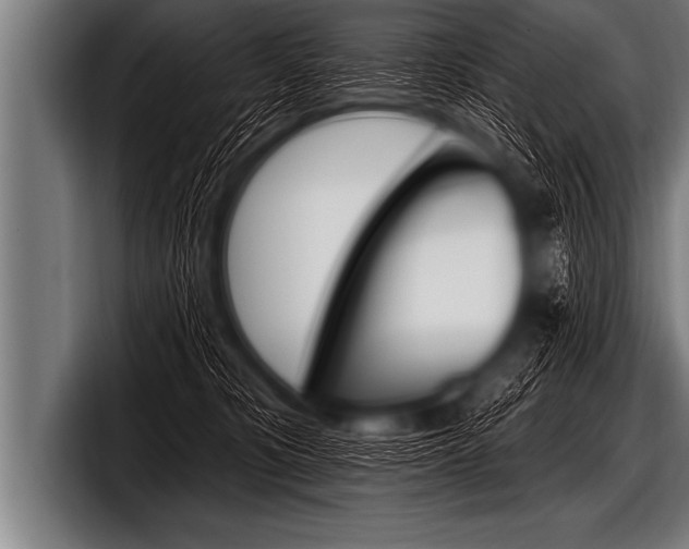 X0000098130325200804171104