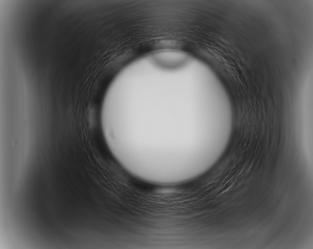 X0000098130326200804171104