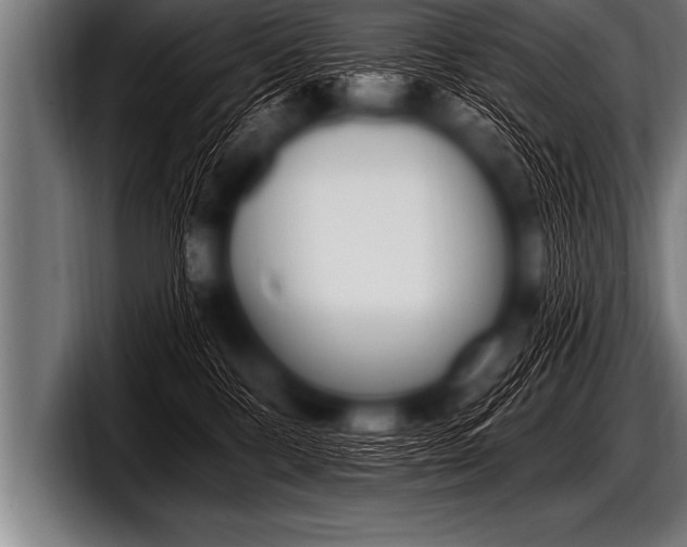 X0000098130328200804171104
