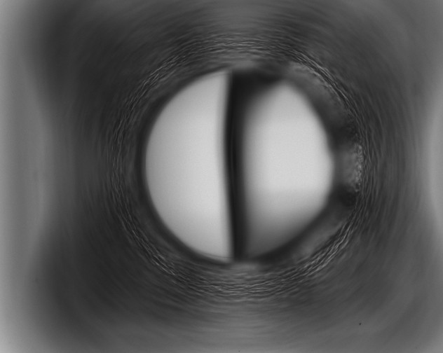 X0000098130329200804171104