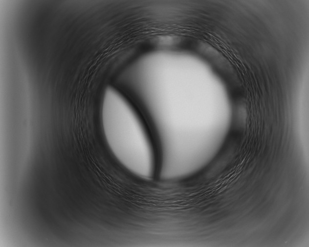 X0000098130331200804171104