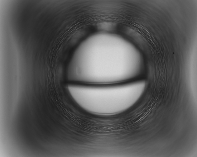 X0000098130332200804171104