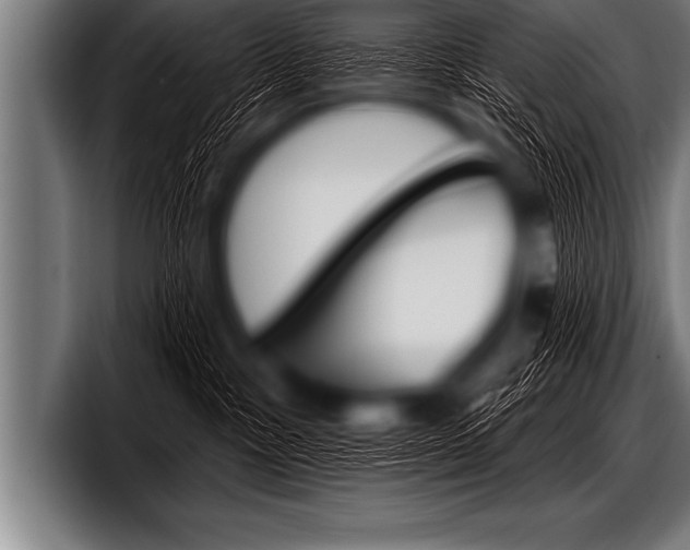 X0000098130333200804171104